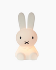 MINI VEILLEUSE BUNDLE OF LIGHT MIFFY