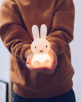 MINI VEILLEUSE BUNDLE OF LIGHT MIFFY