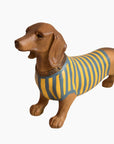 Sculpture Chien teckel "Jimmy" - Rayé Jaune/Vert