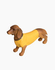 Sculpture Chien teckel "Otto" - Jaune
