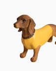 Sculpture Chien teckel "Otto" - Jaune
