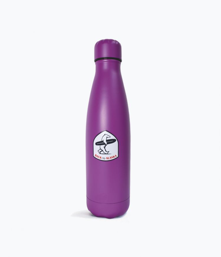 BOUTEILLE ISOTHERME 500ML - VIOLET