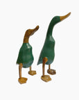 CANARD GRAND MODELE - GREEN