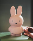 Tirelire Miffy M 19cm Warm (Poudre)