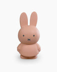 TIRELIRE MIFFY - POUDRE