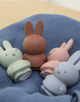 Tirelire Miffy M 19cm Warm (Bleu Argenté)