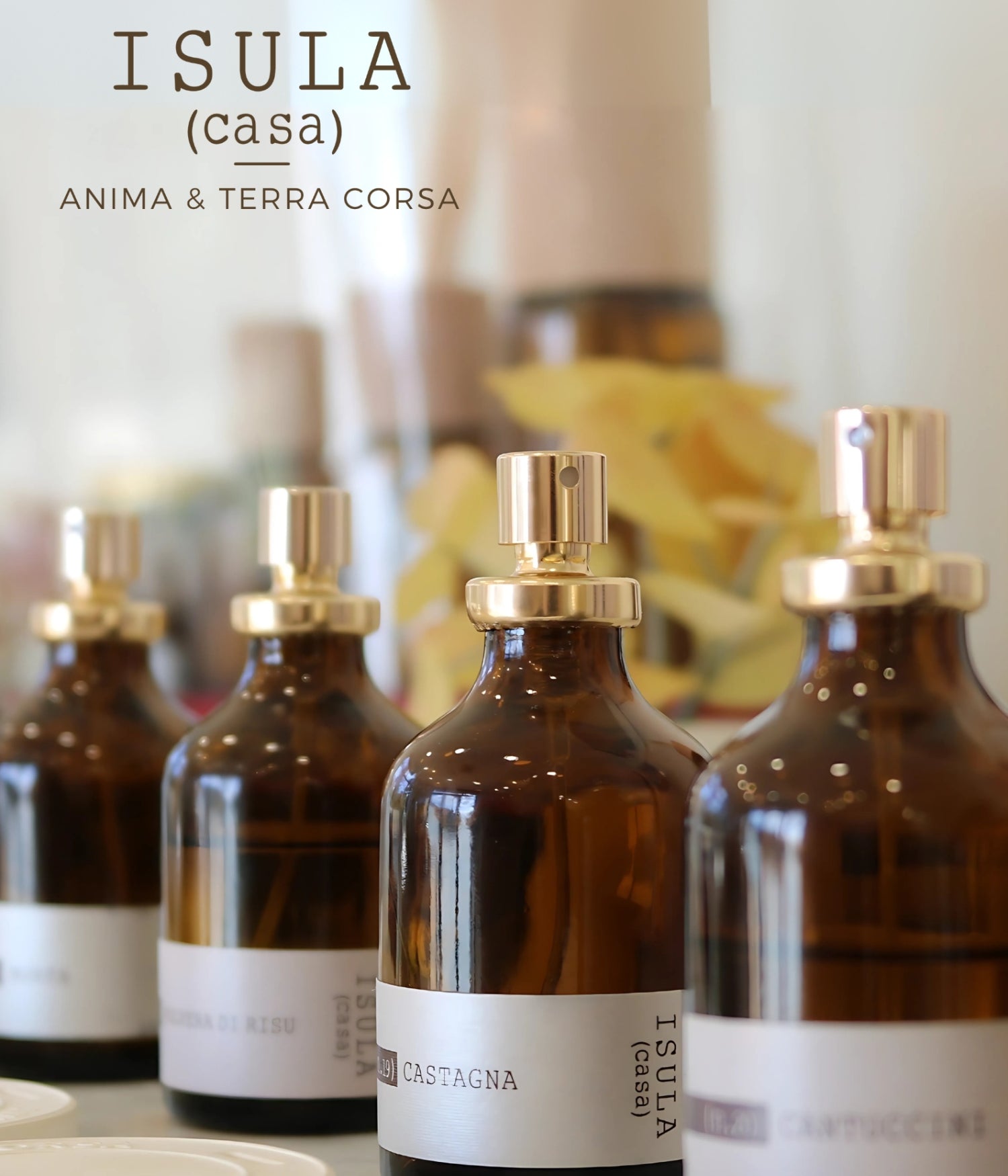 N04 - SPRAY D&#39;AMBIANCE - CLEMENTINE  100ML