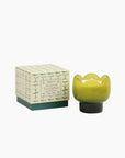 Bougie Tulip Vert & Vert Foncé - Parfum Verveine & Citronnelle
